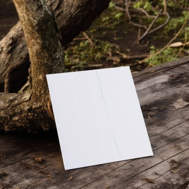 Tahta levhada beyaz kart, açık hava, mod, model, taze,