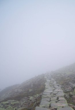 Polonya ulusal parkında yürüyüş yapan dev dağlar Polonya Karkonoski parkı Narodowy Polskie Avrupa 'da açlık içinde yürüyüş dağlarda sisli ufukta 