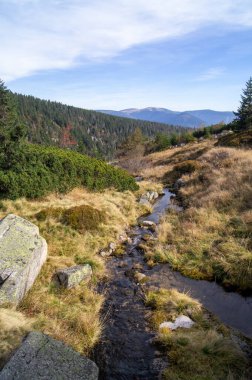 Polonya ulusal parkında yürüyüş yapan dev dağlar Polonya Karkonoski parkı Narodowy Polskie Avrupa 'da açlık içinde yürüyüş dağlarda sisli ufukta 