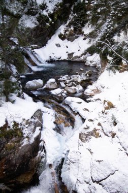 Polonya 'nın High Tatras' ında el değmemiş bir kış sahnesi. Parlak su karlı bir arazide akar, kayaların ve kayaların üzerinde çağlar. Karla kaplı ağaçlar derenin sınırında, dalları dolu.