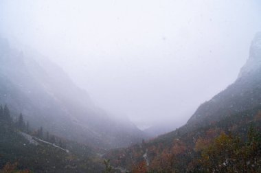 Roztoka Vadisi olarak da bilinen Dolina Roztoki 'den büyüleyici bir fotoğraf. Sahne, doğanın zıtlıklarının nefes kesici güzelliğini gözler önüne seriyor. Görkemli dağ sırtları, yoğun bir sisle örtülmüş.