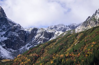 High Tatras, Polonya 'nın çarpıcı manzarası. Karla kaplı zirveler sonbahar renkleriyle süslenmiş yemyeşil bir ormana karşı yan yana. Doğanın zıtlıklarının canlı bir gösterisi, sükunet ve saygı sunuyor..
