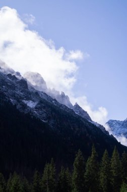 Polonya 'daki Yüksek Tatralar' ın nefes kesici manzarası. Görkemli sisli tepeler sonsuz yeşil bir ormanın üzerinde yükseliyor. Seyahat ve doğa teması için mükemmel doğal bir manzara..