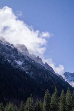 Değişik yaratıcı projeler için dinamik bir kayak arka planının altında, sonsuz yeşil bir ormanın üzerinde süzülen kar örtülü High Tatras 'ın büyüleyici manzarası.