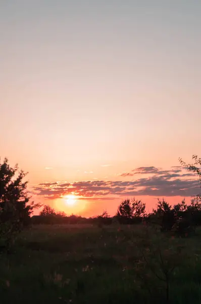 A serene sunset horizon with pastel skies and tree silhouettes; Warm hues embrace the evening sky over a rustic landscape; Sun\'s final embrace illuminates clouds over a pastoral horizon.