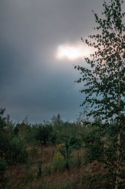 Fırtınalı bir gökyüzünün kaygı verici griliğini tek bir ışık demeti kırıyor ve doğa meraklıları ve fotoğrafçılar için büyüleyici bir manzara yaratıyor. Yumuşak ışık fırtınanın içinden süzülüp vahşi doğanın huzur veren güzelliğini vurgular..