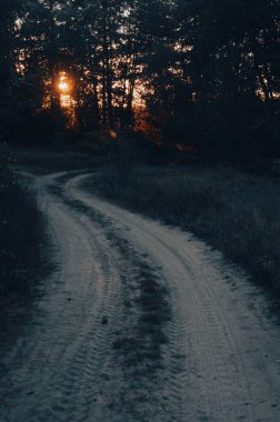 Alacakaranlık Yolu: Karanlık bir ormanın içinde kıvrılan kumlu bir patika, gün batımının yumuşak ışığının rehberliğinde. Günbatımı Yolculuğu: Solan güneşin altında huzurlu bir kaçış sunan sakin bir yol.