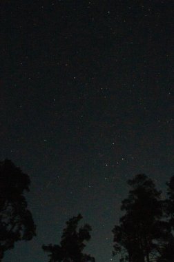 Doğanın cazibesine bu otantik yıldızlı gece fotoğrafıyla dalmak, herhangi bir koleksiyona, yayına ya da eğitici kaynağa muhteşem bir katkı. Gece gökyüzünün saf güzelliğini tecrübe et, mükemmel detaylarıyla yakalanmış..