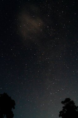 Samanyolu 'nun nazik fırça darbeleri gök kubbe boyunca uzanır. Bu uçsuz bucaksız astronomik manzarada gecenin ihtişamını görün. Siluetli fısıltılar: Ağaçlar uzak güneşlerin ve galaksilerin kozmik dansını çerçeveler.