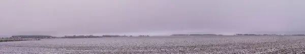 Expansive snowy field under a heavy winter sky. Vast winter landscape with a fresh layer of snow covering the ground. Panoramic view of a tranquil snowy expanse in rural terrain. Sweeping snow-covered farmland on a bleak winter day.