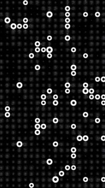 Siyah Arkaplan ve Beyaz Dairesel Algoritmik Tasarımlı Geometrik Animasyon