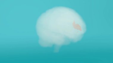 Beyin Berraklığının 3B Görselleştirilmesi: Bilişsel Belirsizlikten Odaklanmaya Geçiş