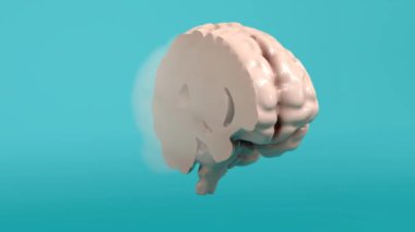 Beyin Geçişiminin Döngüsel 3 Boyutlu Görselleştirmesi: Sise ve Sırta Açıklık