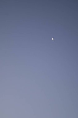 Sabahın erken saatlerinde berrak mavi gökyüzünde hilal, basit ve sakin bir gökyüzü yaratıyor..