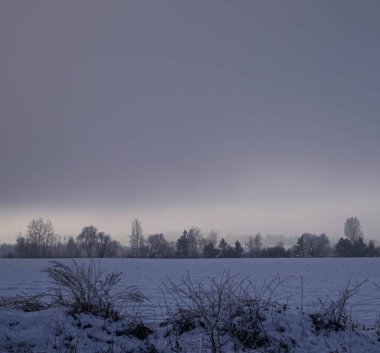 Foggy winter landscape with a snowy field and distant trees under a dim and overcast sky, evoking stillness and calm. clipart