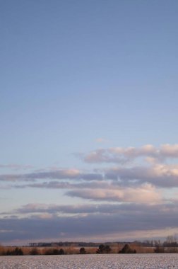 Ukrayna 'da bir kış tarlası. Pastel renkli gökyüzü, yumuşak bulutlar ve soğuk günbatımında uzak ağaçlar..