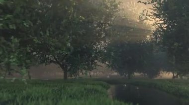 3D Sinematik Fantezi Doğa Atmosferik Yavaş çekim kamera Orman nehri üzerinde parlayan sihirli efektlerle uçuyor.