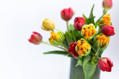 Bouquet of beautiful terry tulips yellow and red in vase on white background