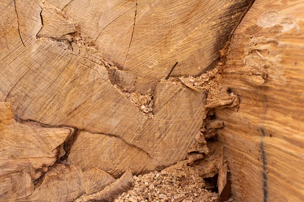 Zblízka Staré Dřevěné Řezané Textury — Stock fotografie