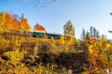 Tren dağlık arazide seyahat eder. Sarı ağaçlı ve trenli sonbahar manzarası.