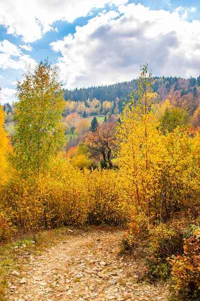 Горная Дорога Среди Осеннего Пейзажа Осенний Пейзаж — стоковое фото