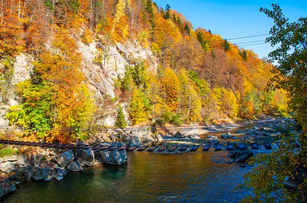 Bir dağ nehrinin üzerinde sonbahar ağaçları olan kayalık bir sahil. Dağın üzerindeki asma köprü.