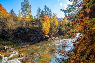 Autumn landscape with a mountain river with a steep bank