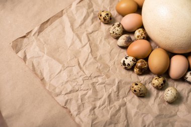 Büyük bir devekuşu yumurtası ve el işi kağıt üzerinde bir sürü tavuk ve bıldırcın yumurtası. Bıldırcın yumurtaları ve kahverengi tavuk yumurtaları yumuşak ışıkta buruşmuş kahverengi kağıdın arka planında..