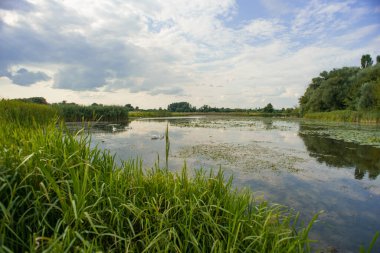 Bulutlu gökyüzü ve nehri olan akşam manzarası. Gökyüzü suya yansıyor. Nehirli yaz manzarası.