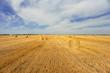 Fırtınadan sonra hasat sonrası bir tarlada saman balyaları. Bulutlu gökyüzü.