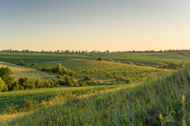 Sahne, tarım, eko-turizm, doğa ve açık hava sükuneti temaları için ideal olan kırsal kesimin sükunetini ve doğal güzelliğini yansıtıyor..