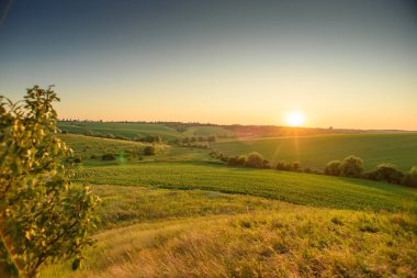Altın saat boyunca huzurlu bir kırsal manzaranın panoramik görüntüsü. Yuvarlanan yeşil tepeler, ekilmiş tarlalar ve vahşi bitki örtüleri yumuşak günbatımı ışığında yıkanır..