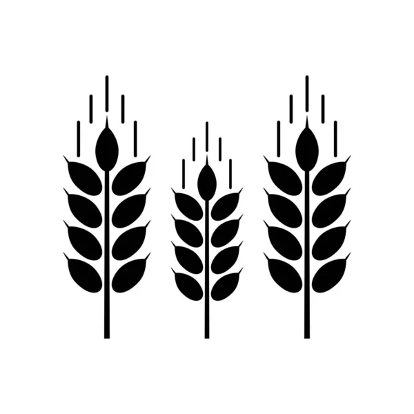 Конструкция Векторной Иллюстрации Ушей Пшеницы — стоковый вектор