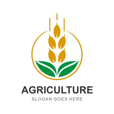 Buğday logosu şablon vektör illüstrasyon tasarımı