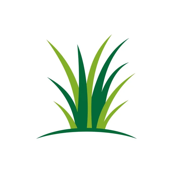 Verde Hierba Icono Vector Ilustración Diseño — Vector de stock