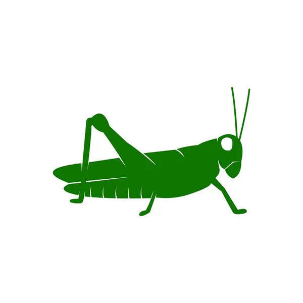 Vector Ilustración Insectos Logotipo Naturaleza Colección Lindo Divertido Símbolo Stock — Vector de stock