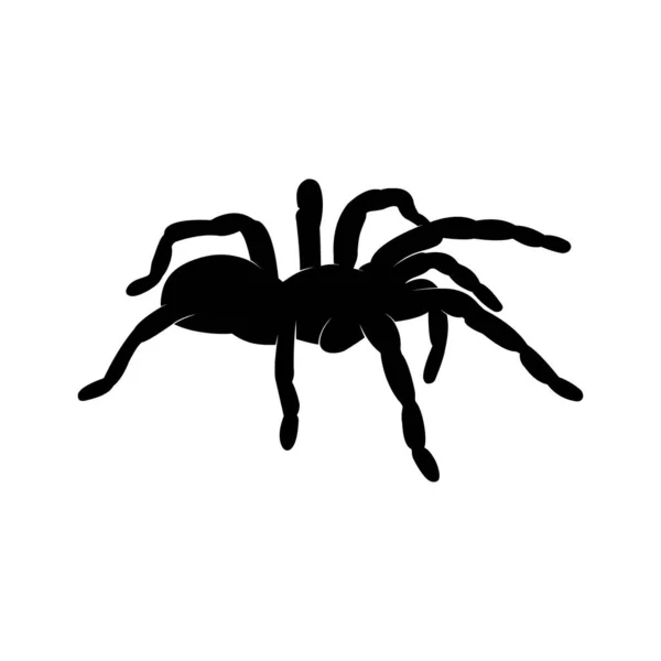 Чорний Павук Білому Тлі — стоковий вектор