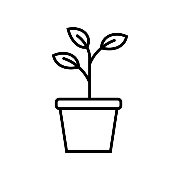 Plant Pot Potted Plants Vector Illustration Design —  Vetores de Stock