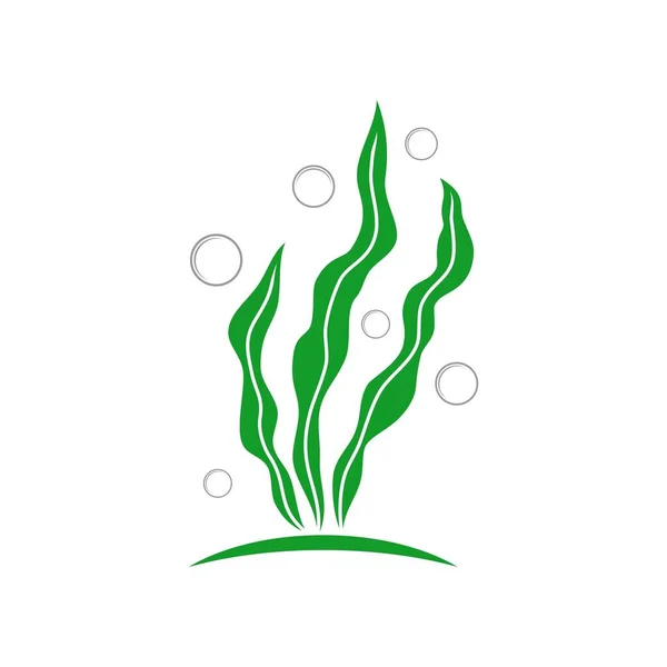 Algas Marinas Logotipo Plantilla Vector Ilustración — Vector de stock