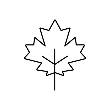 Akçaağaç yaprağı ikonu vektör illüstrasyon grafik tasarımı