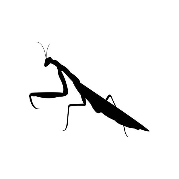 Praying Mantis Insect Black Silhouette — Stock Vector