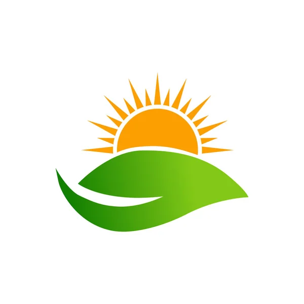 Sol Hoja Logo Plantilla Vector Icono Ilustración Diseño — Archivo Imágenes Vectoriales