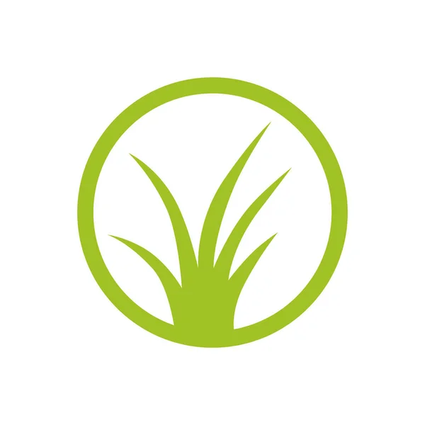 Зелений Лист Шаблон Логотипу Векторний Дизайн Ілюстрації — стоковий вектор