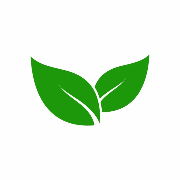 Modelo Vetor Design Logotipo Folha — Vetor de Stock