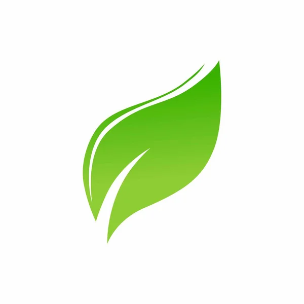 Liście Ekologia Zielony Natura Element Wektor Ilustracja — Wektor stockowy