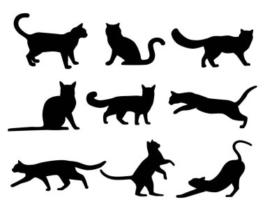 Bir vektör kümesinde kedi siluetleri