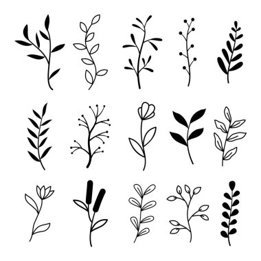 Siyah dallar ve çiçek vektörü kümesi