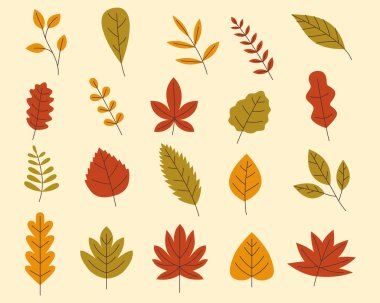 Sonbahar yaprakları parlak renk vektörü