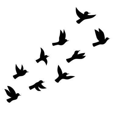 Uçan kuşlar siluet vektörü