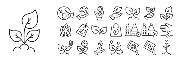 Set Plant Icons Illustrations Depicting Various Types Plants Including Flowers — Stock Vector
